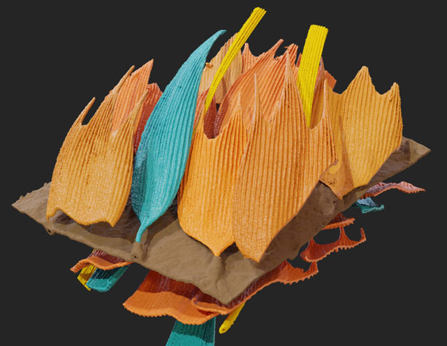 3D prikaz krila moljca