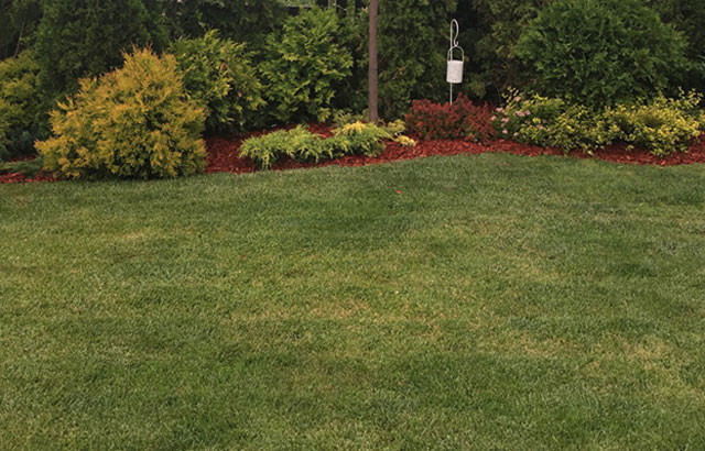 Dizajnirajte vrt vaših snova