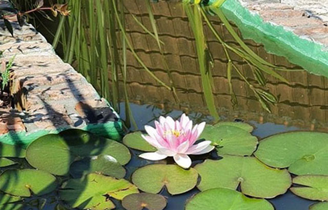 Dizajnirajte vrt vaših snova