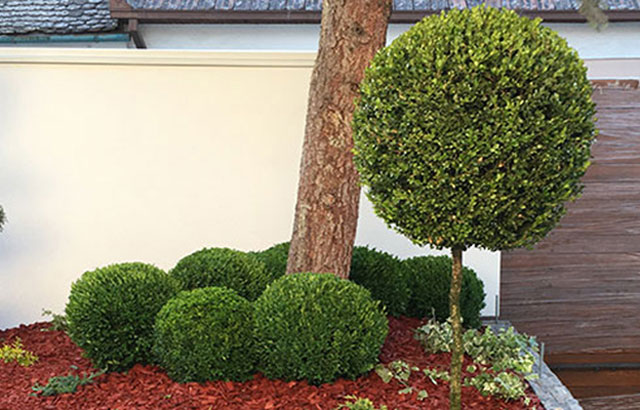 Dizajnirajte vrt vaših snova