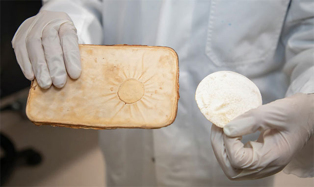 Kompresovani micelijuma