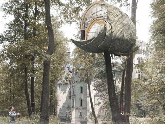Nidus Dolichovespula sylvestris - modularna kućica na drvetu