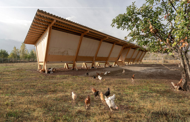 Modularni kokošinjac na farmi u Turskoj
