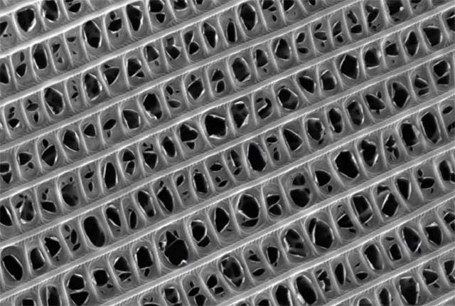 Mikroskopski prikaz strukture koja absorbuje zvuk
