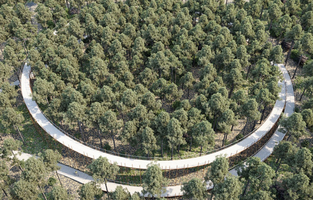 Biciklistička staza „Cycling through the trees