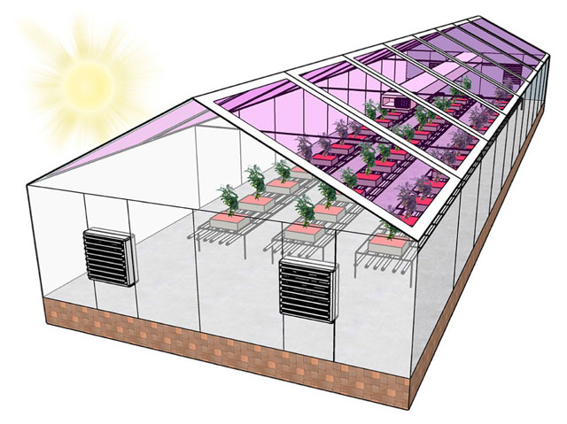 Polutransparentne solarne ćelije za energetski neutralne staklenike