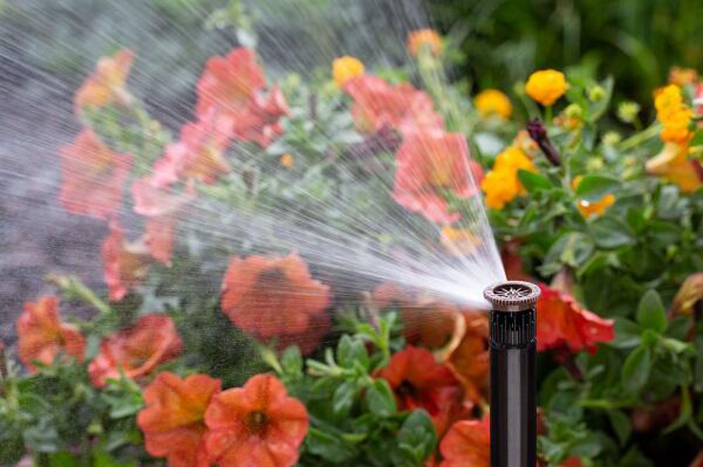 Skala Garden - Hunter Pro visokoefikasne dizne