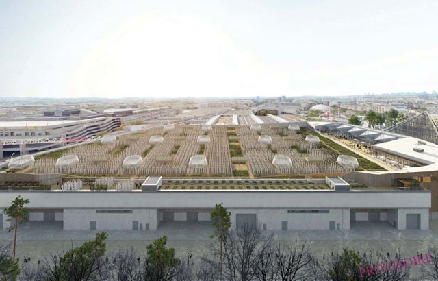 Pogledajte kako će izgledati najveća gradska farma na svetu