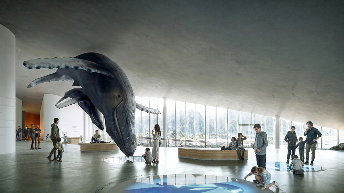 The Whale