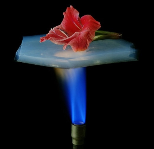 Delikatan cvet je zaštićen od vrelog plamena sa aerogelom debljine od 6mm