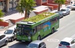 Fito Kinetik - zeleni krov za autobuse