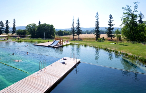 Ovaj prelepi prirodni bazen u Švajcarskoj dokazuje da ne moramo da plivamo u hloru