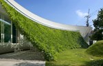 Zelena zavesa arhitektonskog biroa u Japanu