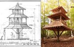 Piramidalna kućica na drvetu raste kao japanska pagoda