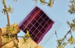 Nemački istraživači razvijaju efikasnije organske solarne ćelije