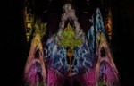 Sagrada Familia prikazana u novom svetlu (video)
