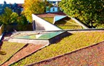 Stambeni objekti u Londonu sa geometrijskim zelenim krovovima