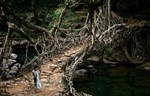 Indijski neverovatni drveni mostovi su napravljeni od živog korenja i lijana