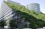 Mitovi o “zelenom dizajnu” zgrada
