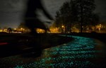 Biciklistička staza koja svetli u mraku otvorena u Holandiji