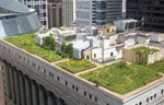 Zeleni krovovi - zašto i kako ozeleneti krovove u urbanim sredinama?