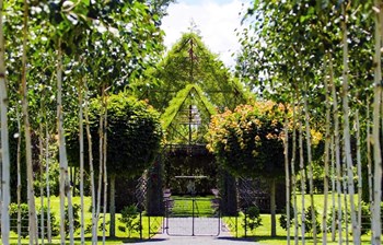 „Drvo crkva“ je živa, dišuća kapela napravljena od pravih drveća