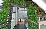 Modularni sistem sadnje daje svestranost živim zelenim zidovima