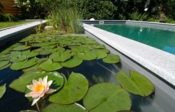 Biološki bazeni - zdrava alternativa bez upotrebe hemikalija