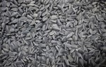 Ljuspice semena suncokreta daju alternativu betona