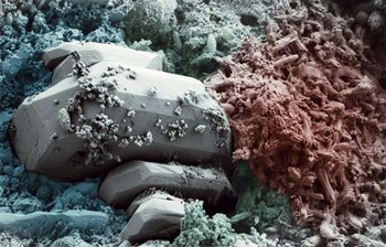 Novo otkriće: Kako bakterije mogu da poprave pukotine u betonu