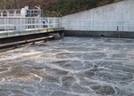 Sistem za prečišćavanje otpadnih voda - Buffalo Township: studija slučaja