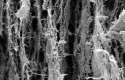Nanopaper - papir jači od livenog gvožđa