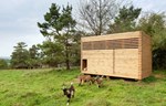 Arhitekta izgradio malenu drvenu štalu za slatke pigmejske koze u Bavarskoj