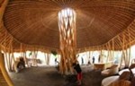Bambus u građevinarstvu - skica primene jednog održivog materijala
