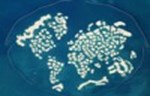 Kompanija Nakheel poriče tvrdnje da popularna veštačka ostrva u obliku mape sveta tonu