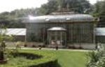 Počela rekonstrukcija Botaničke bašte u Beogradu