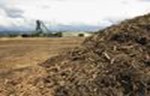 Veliki potencijal biomase u Srbiji neiskorišćen