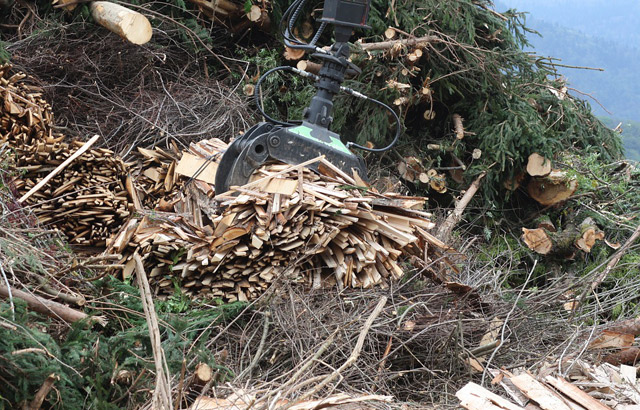 Razvoj sistema daljinskog grejanja na biomasu u Zaječaru