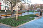 Rekonstruisan park kod beogradskog Ekonomskog fakulteta