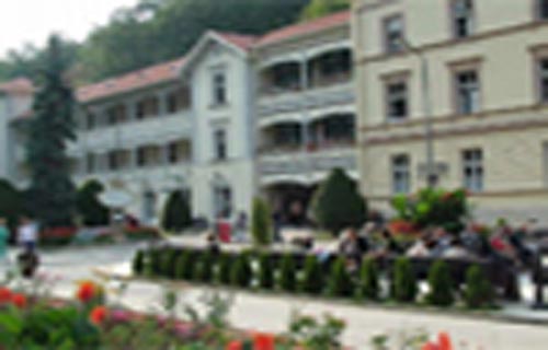 Raspisan tender za adaptaciju vile "Hercegovina" u Ribarskoj banji