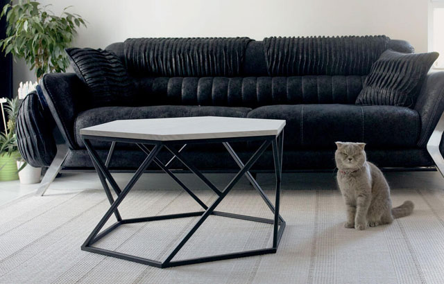 Pet friendly tepisi koje ćete obožavati