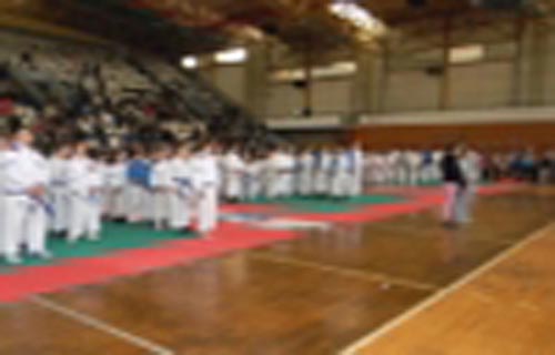 Završetak adapacije poslovno-sportskog centra u Sremskoj Mitrovici do polovine septembra