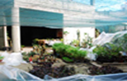 Beograd: "Jevremovac" gotov u aprilu