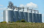 Gradiće se šest silosa za žito od po 1.100 tona kod Žitišta