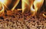 Javna preduzeća prepoznaju značaj grejanja na biomasu